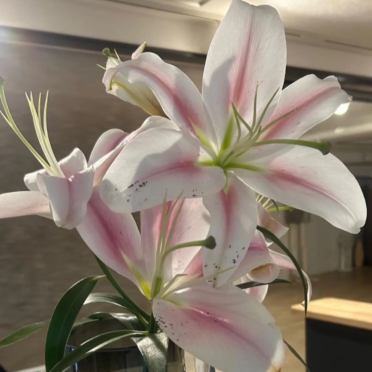 本日もありがとうございました