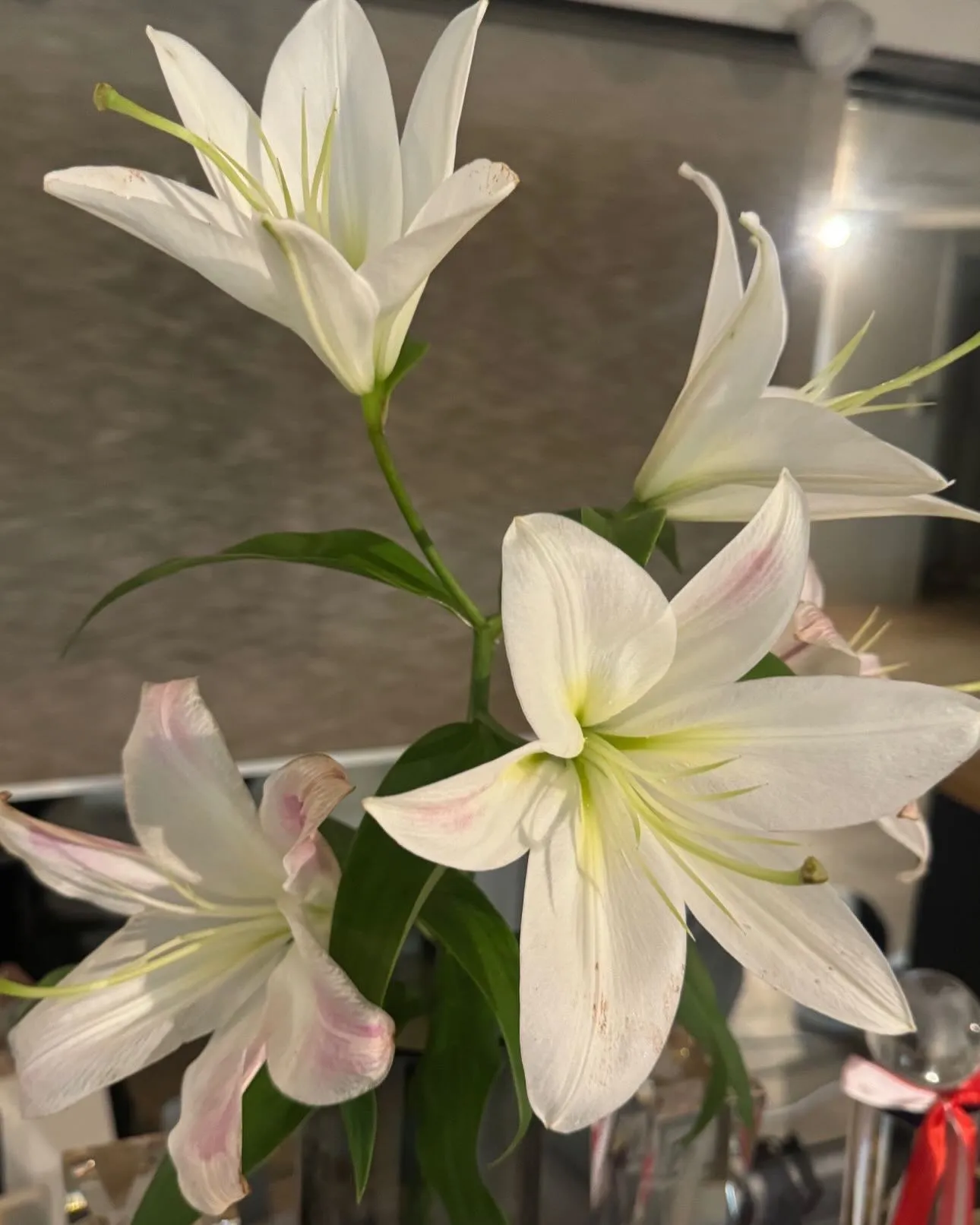 今週もありがとうございました