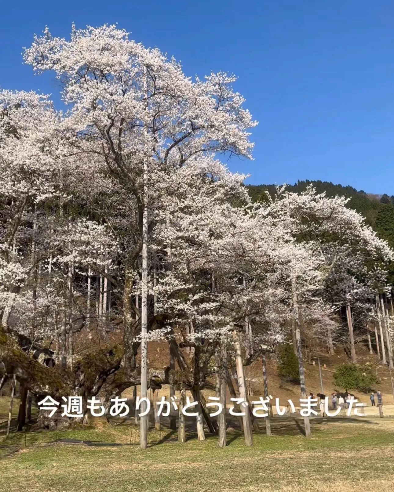 今週もありがとうございました