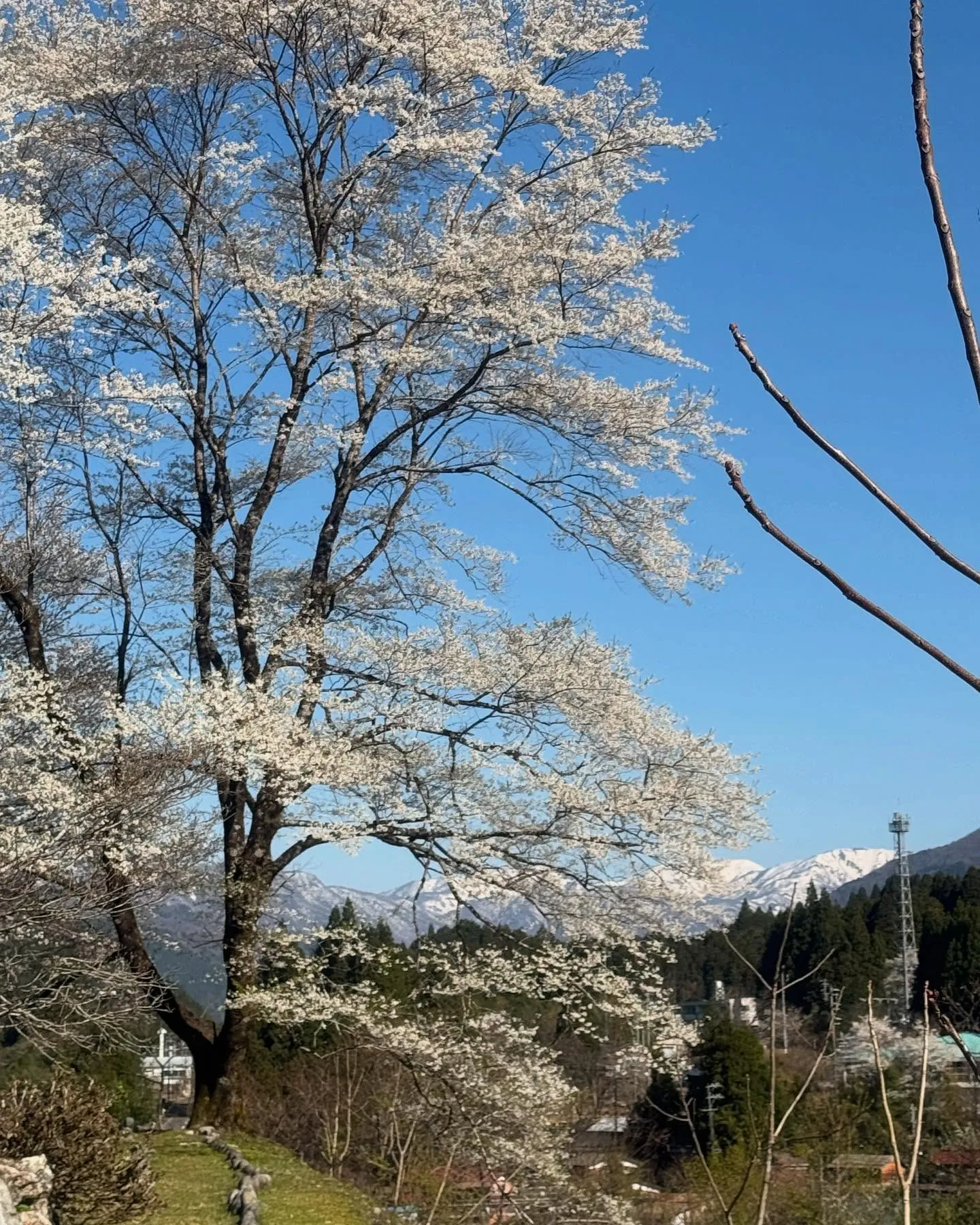 今週もありがとうございました