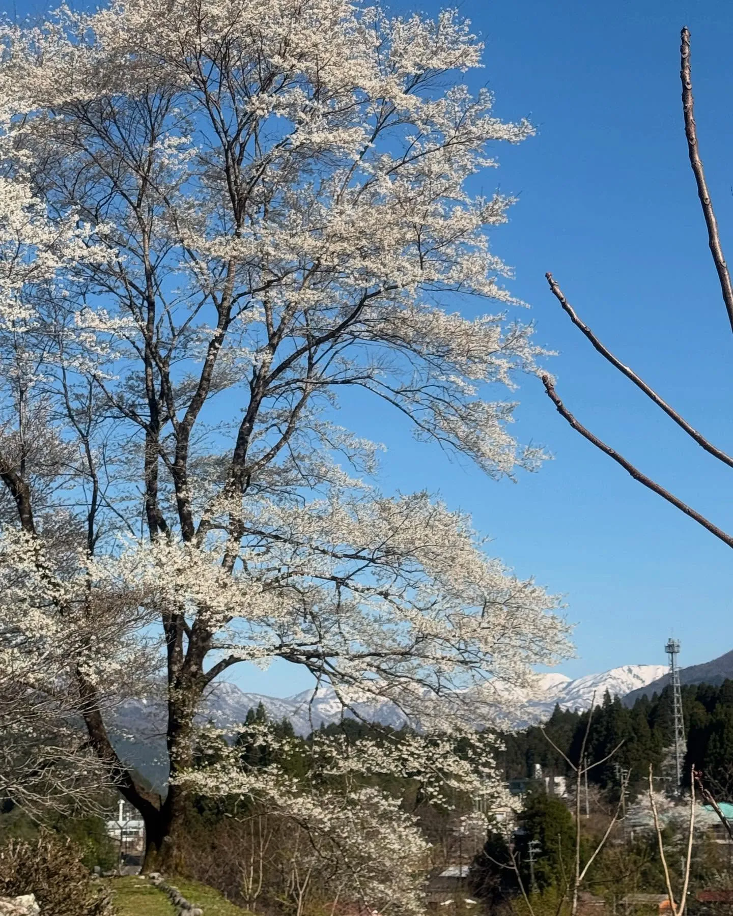 本日もありがとうございました