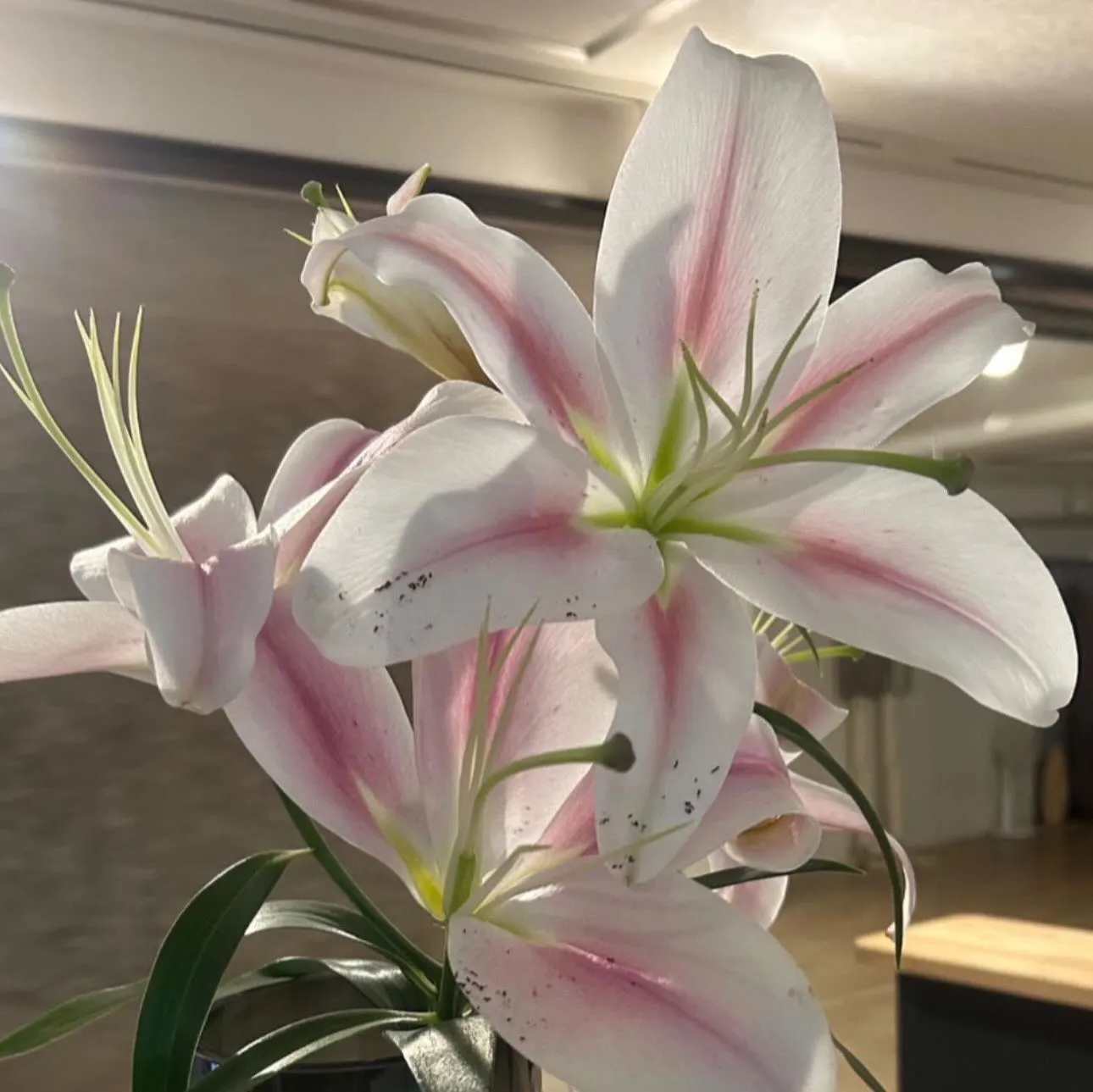 本日もありがとうございました