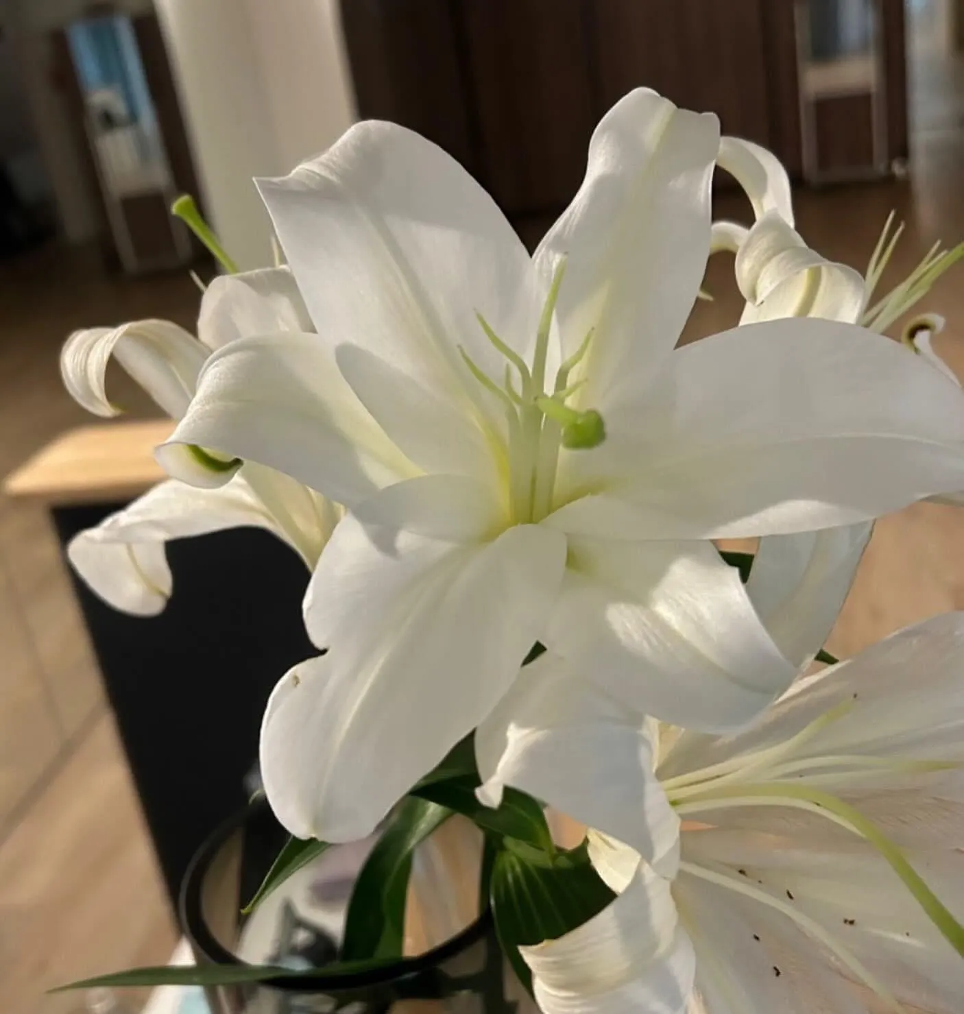 おはようございます