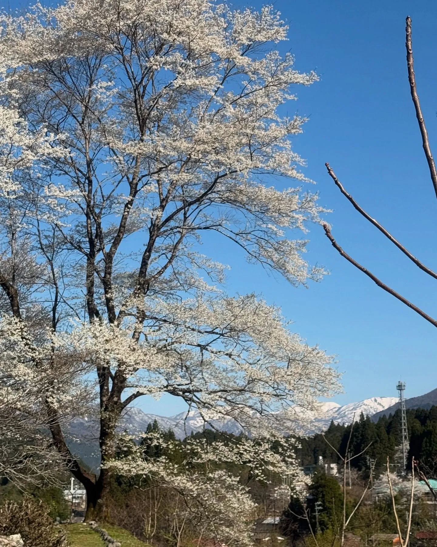 おはようございます
