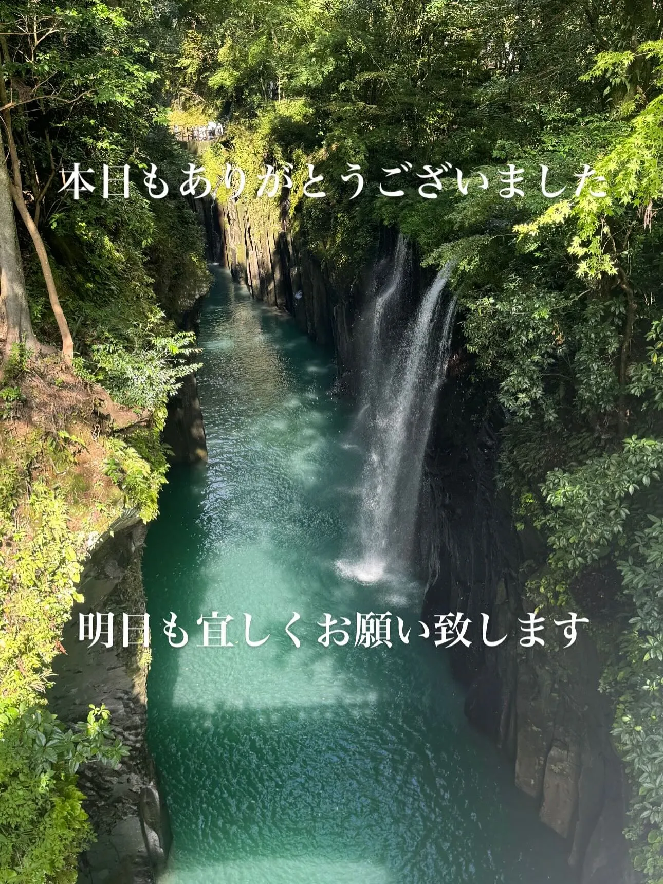 本日もありがとうございました