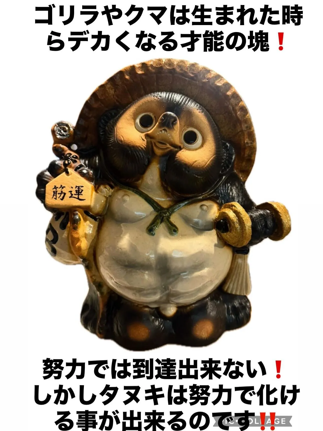 才能は努力に勝てない❗️