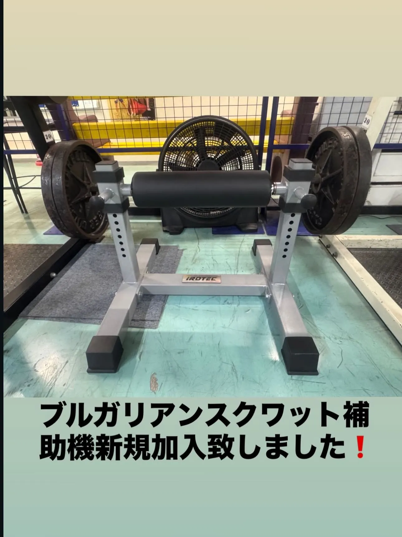 おはようございます