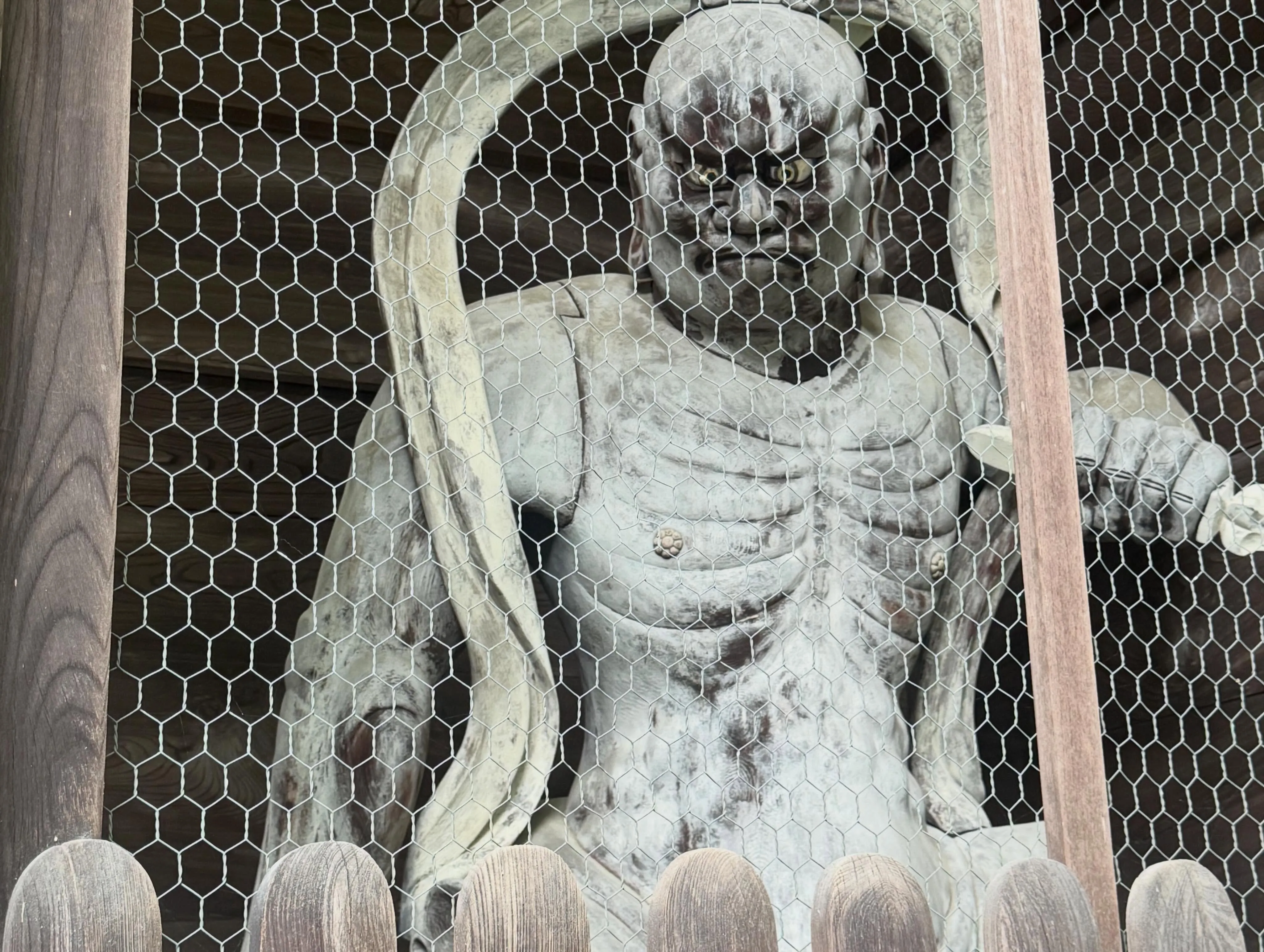 久し振りにお休み