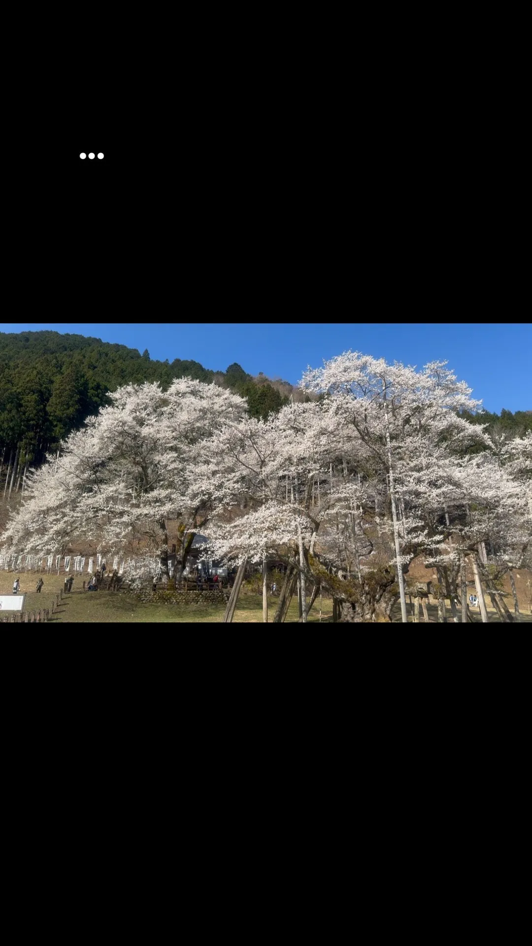 今週もありがとうございました