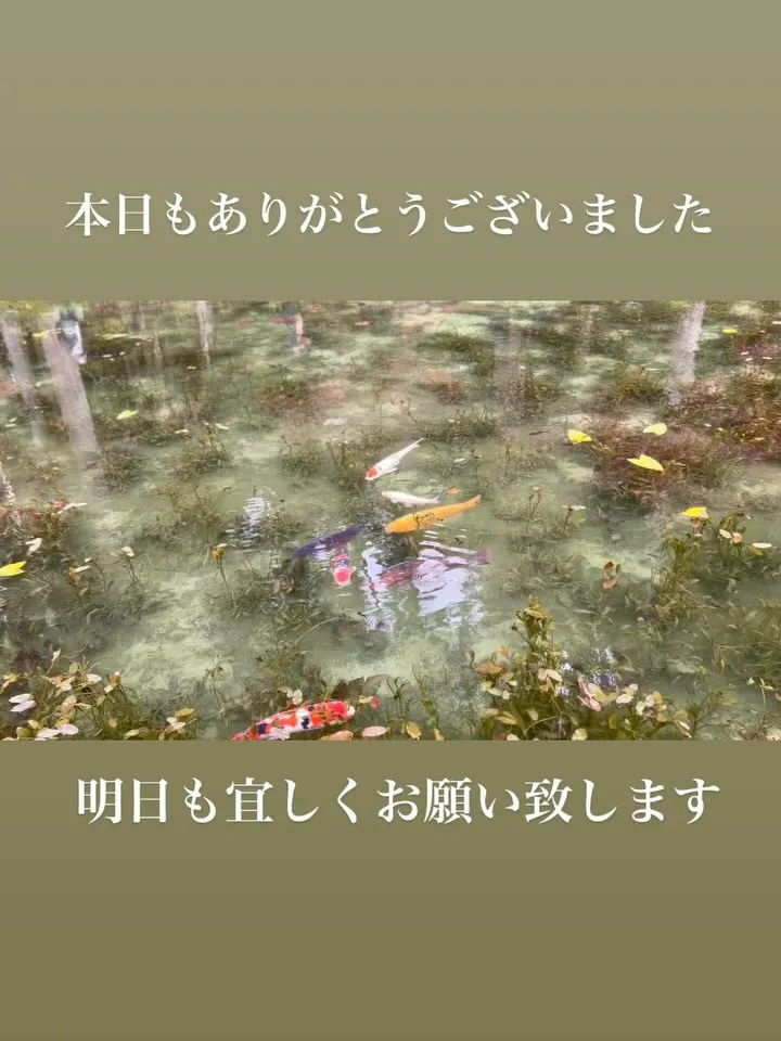 本日もありがとうございました