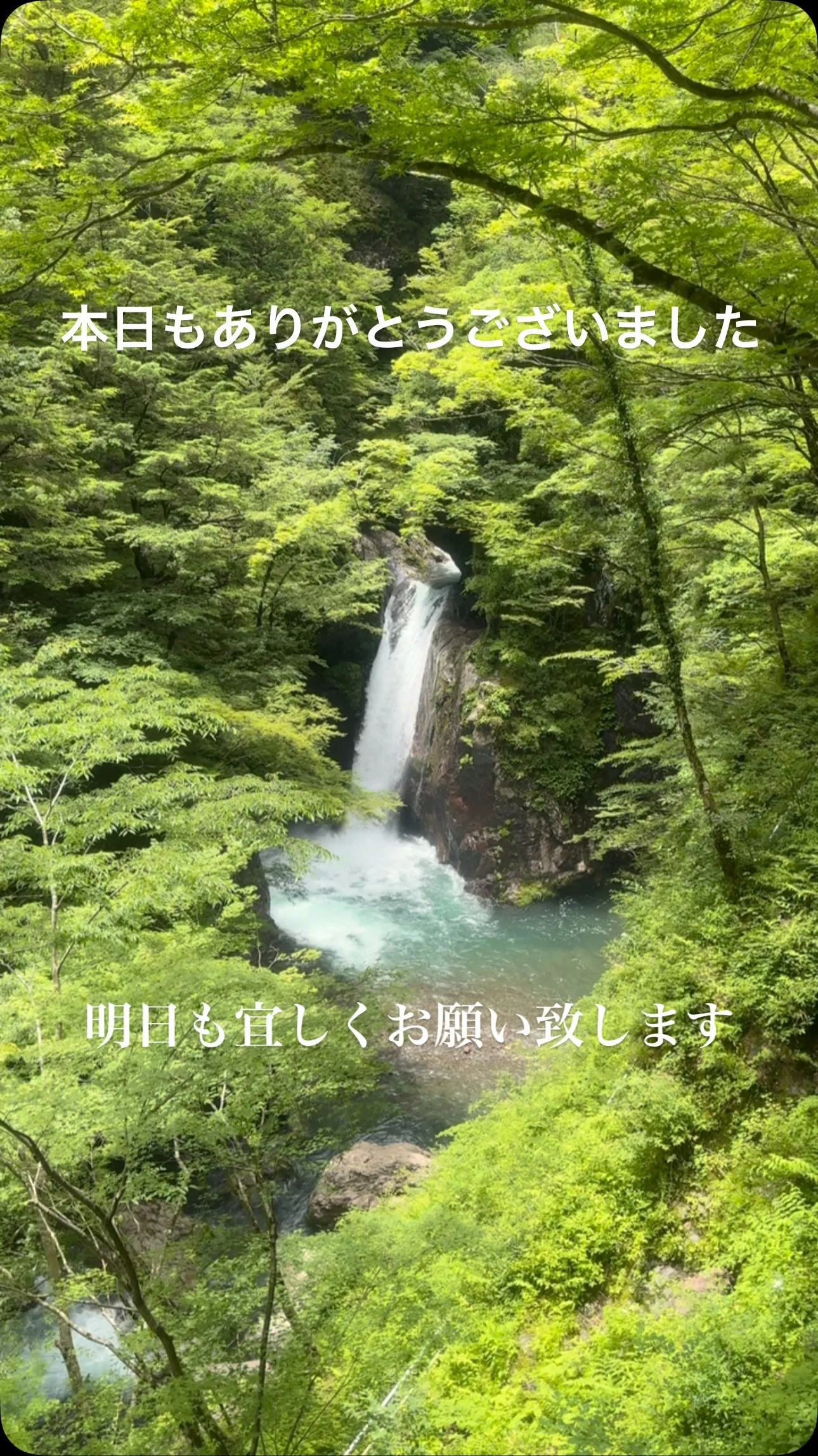 おはようございます