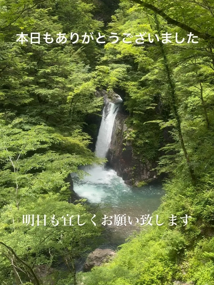 おはようございます