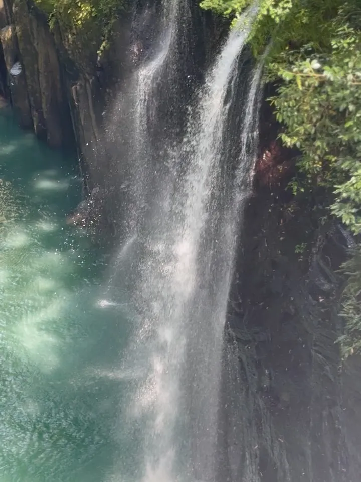 本日もありがとうございました