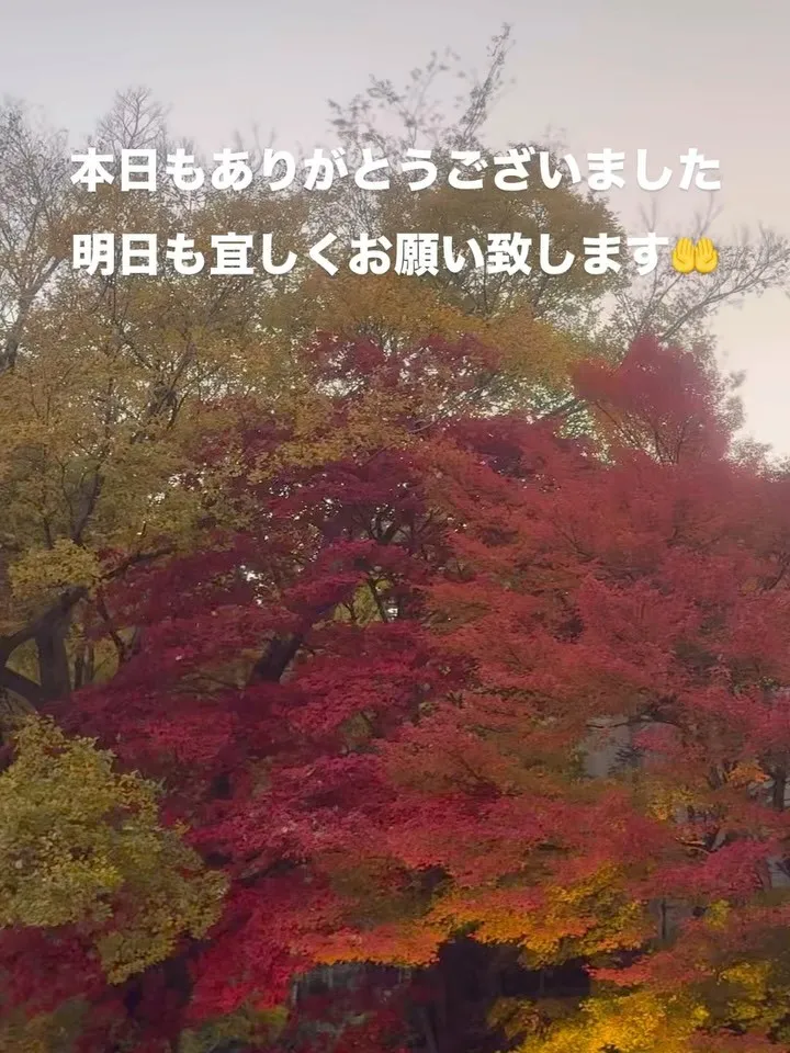 本日もありがとうございました