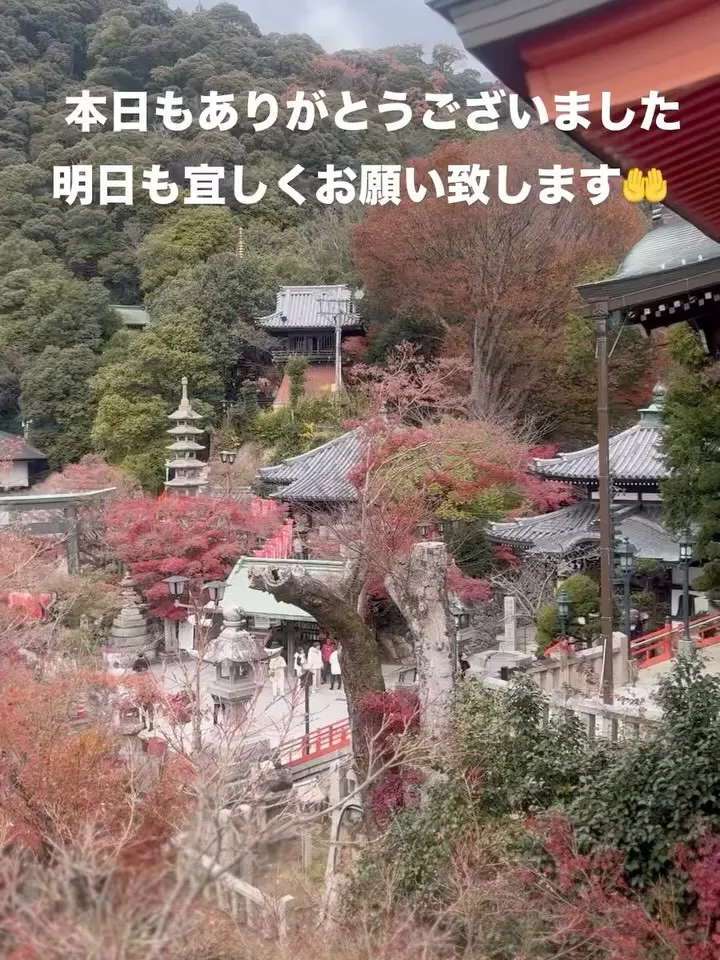 本日もありがとうございました