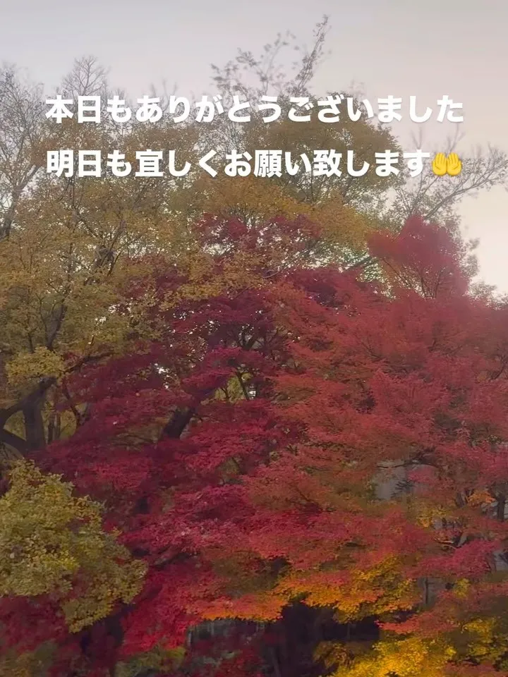 本日もありがとうございました