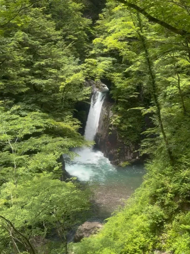 本日もありがとうございました
