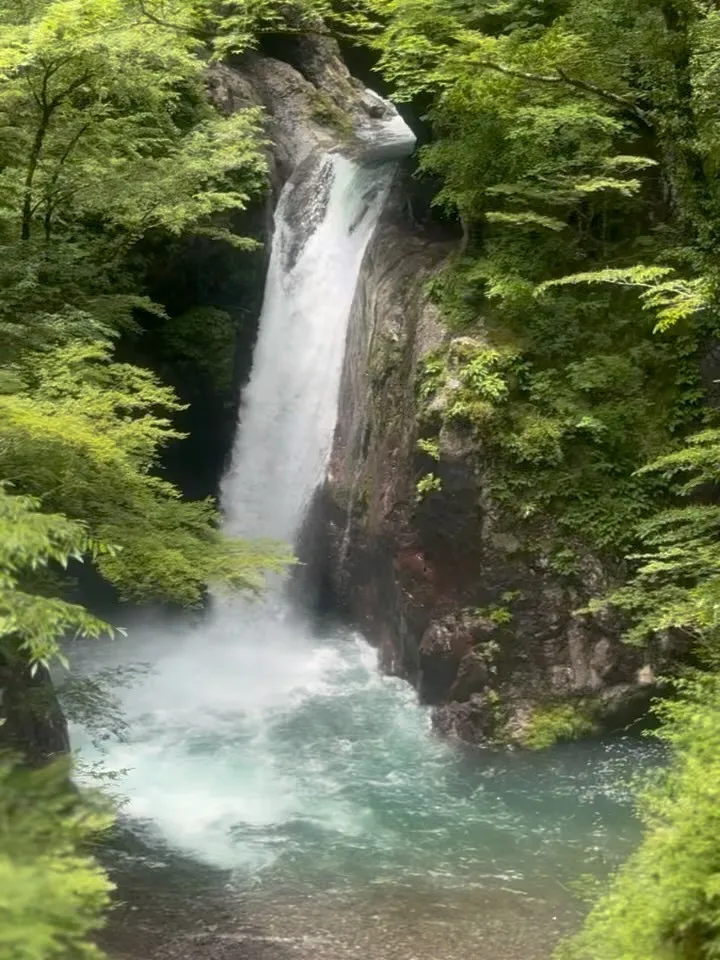 本日もありがとうございました