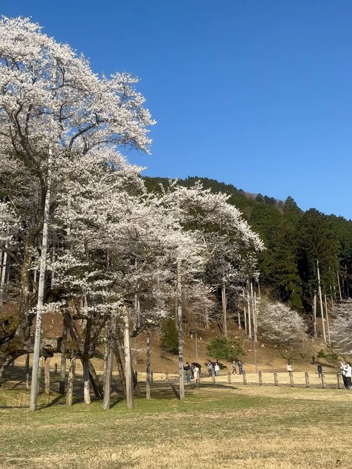 本日もありがとうございました