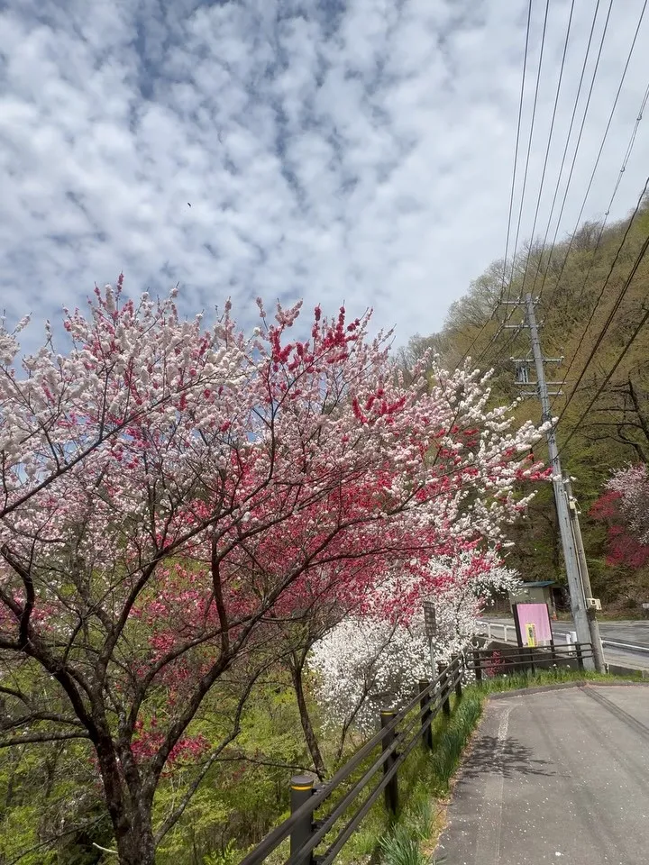 本日もありがとうございました