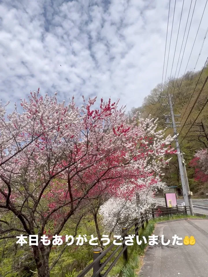 本日もありがとうございました