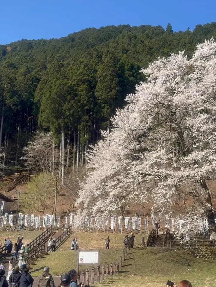 本日もありがとうございました