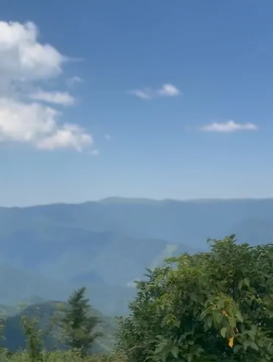 本日もありがとうございました