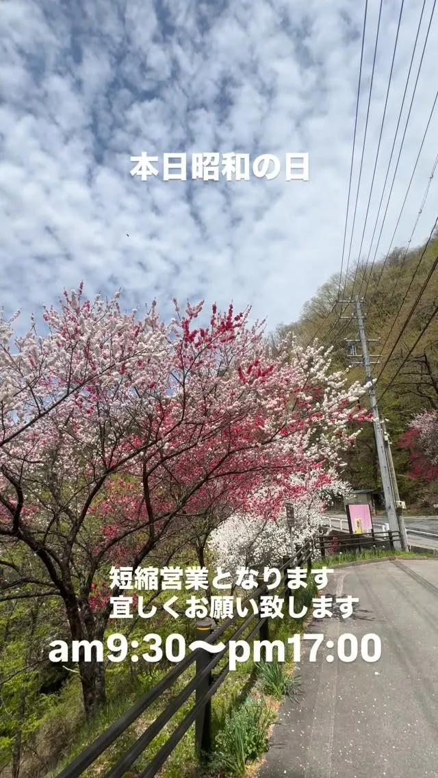 おはようございます