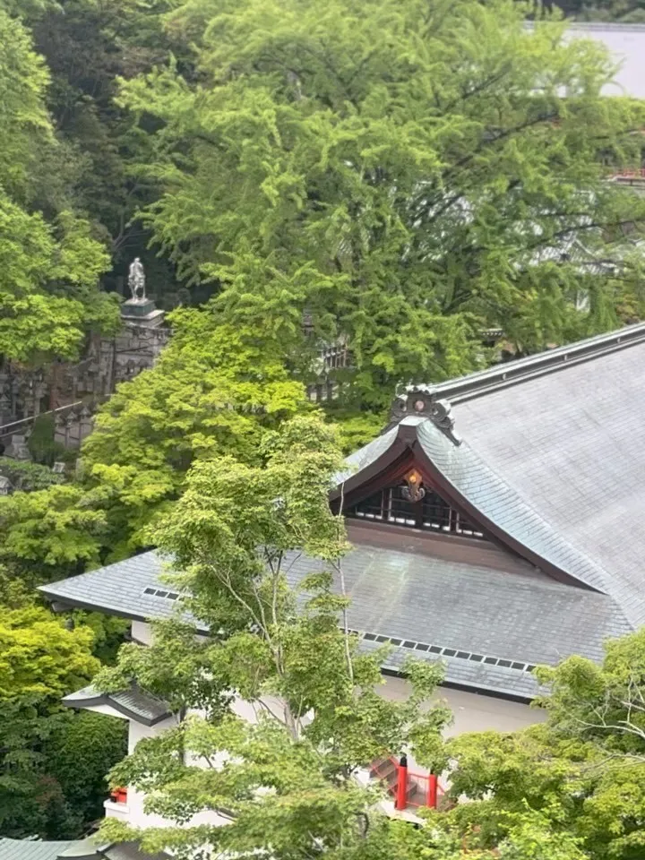 本日もありがとうございました