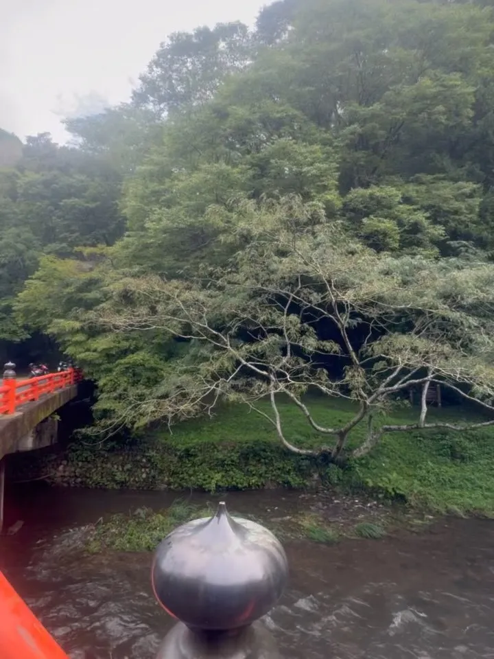 本日もありがとうございました